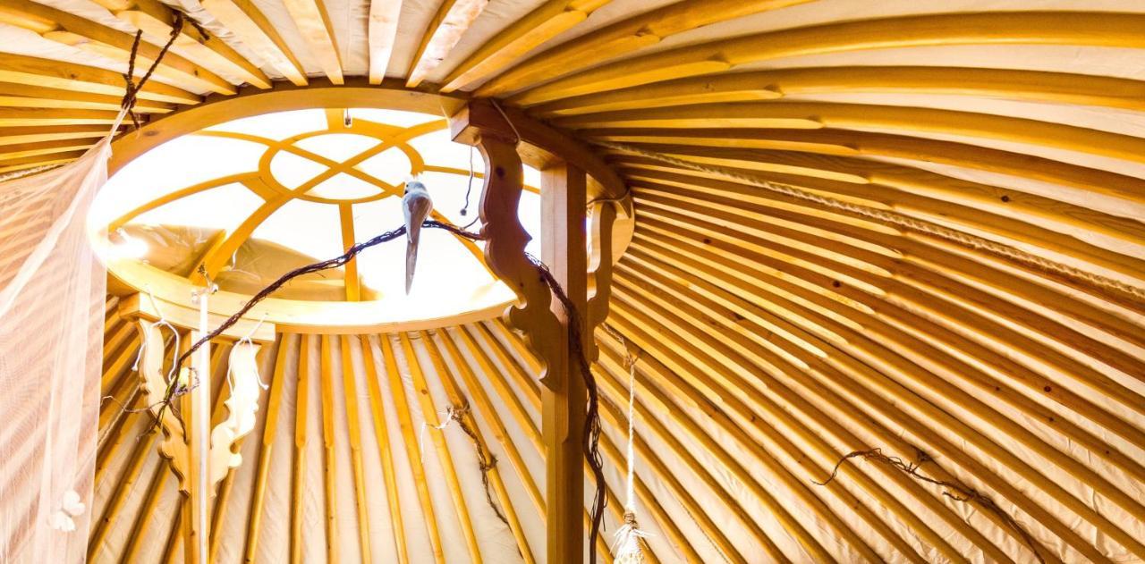 2 Cuori E 1 Yurta Glamping In Tuscany - Adults Only Asciano Exterior photo