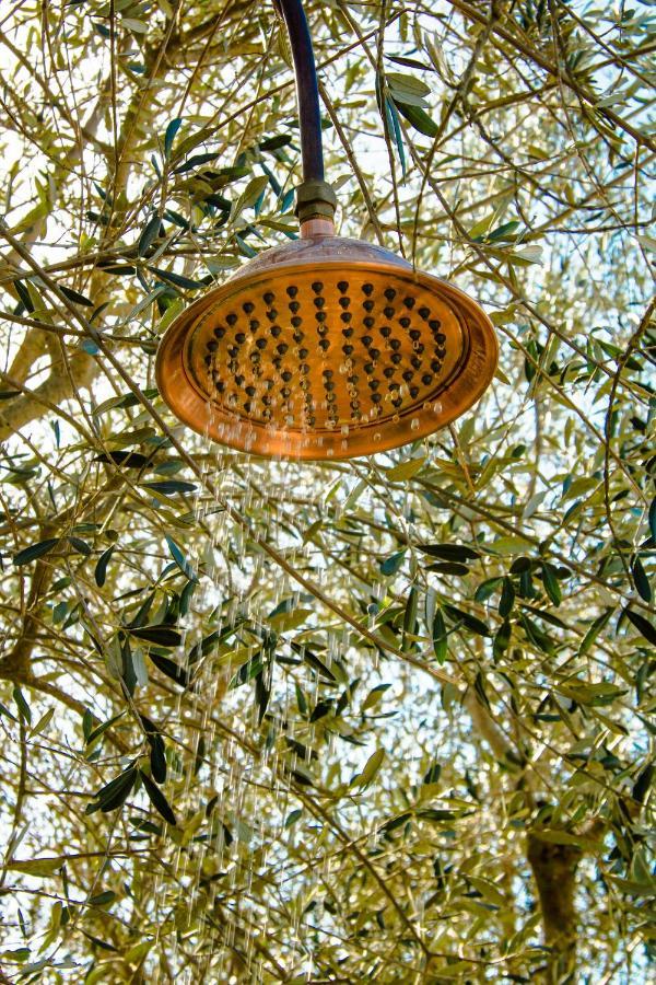 2 Cuori E 1 Yurta Glamping In Tuscany - Adults Only Asciano Exterior photo