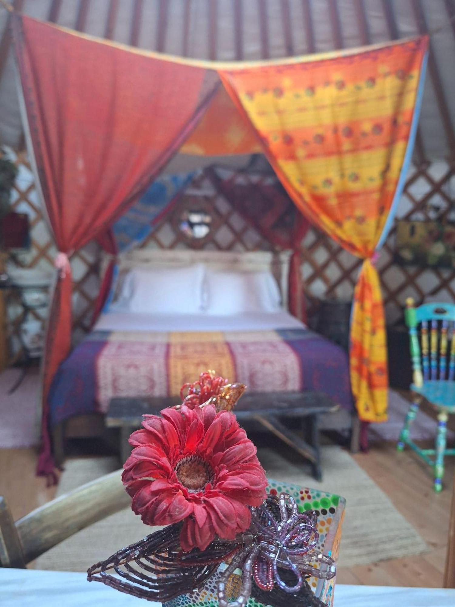 2 Cuori E 1 Yurta Glamping In Tuscany - Adults Only Asciano Exterior photo